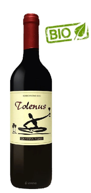 FAUSTI - TONELUS IGT MARCHE Syrah Organic